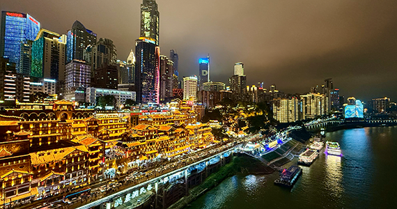 企业域名所有人查询