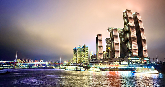 域名注册企业信息查询系统