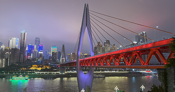 用友企业域名查询